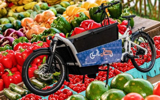 Cargobike Lilja Rad+