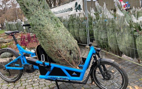 Weihnachtsbaum mit dem Fahrrad transportieren.