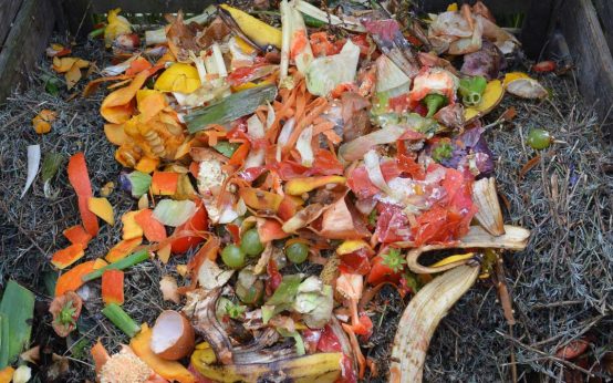 Blick auf weggeworfene Lebensmittel im Komposthaufen.