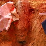 Weltkriegsbombe erfolgreich entschärft