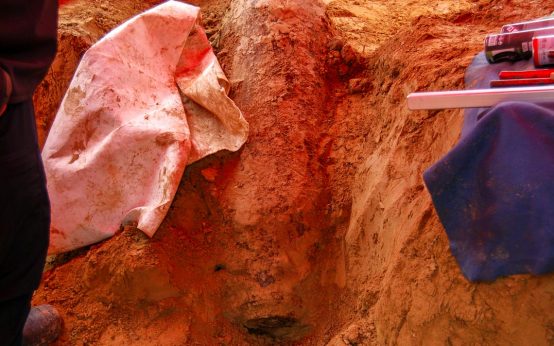 Weltkriegsbombe erfolgreich entschärft