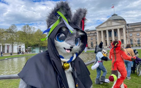 Furry-Szene trifft sich in Wiesbaden