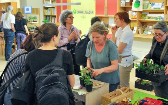 Wildpflanzenmarkt im Umweltladen