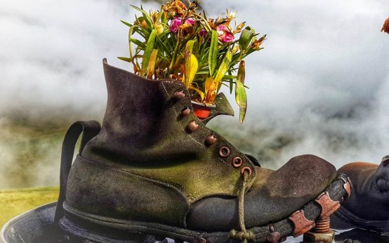 Kreativität Upcycling, Kunst aus Abfall. Eine Schuh wird zum Pflanzenkübel.