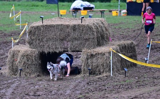 Ayla und Sparky, Mensch und Hund, auf kriechen unter einem Heuballen durch.