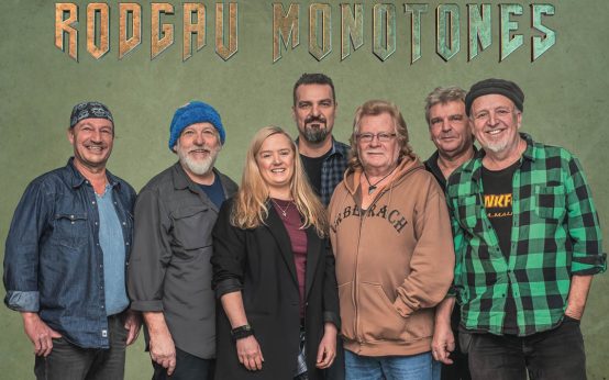 Rodgau Monotones beim Stadtfest