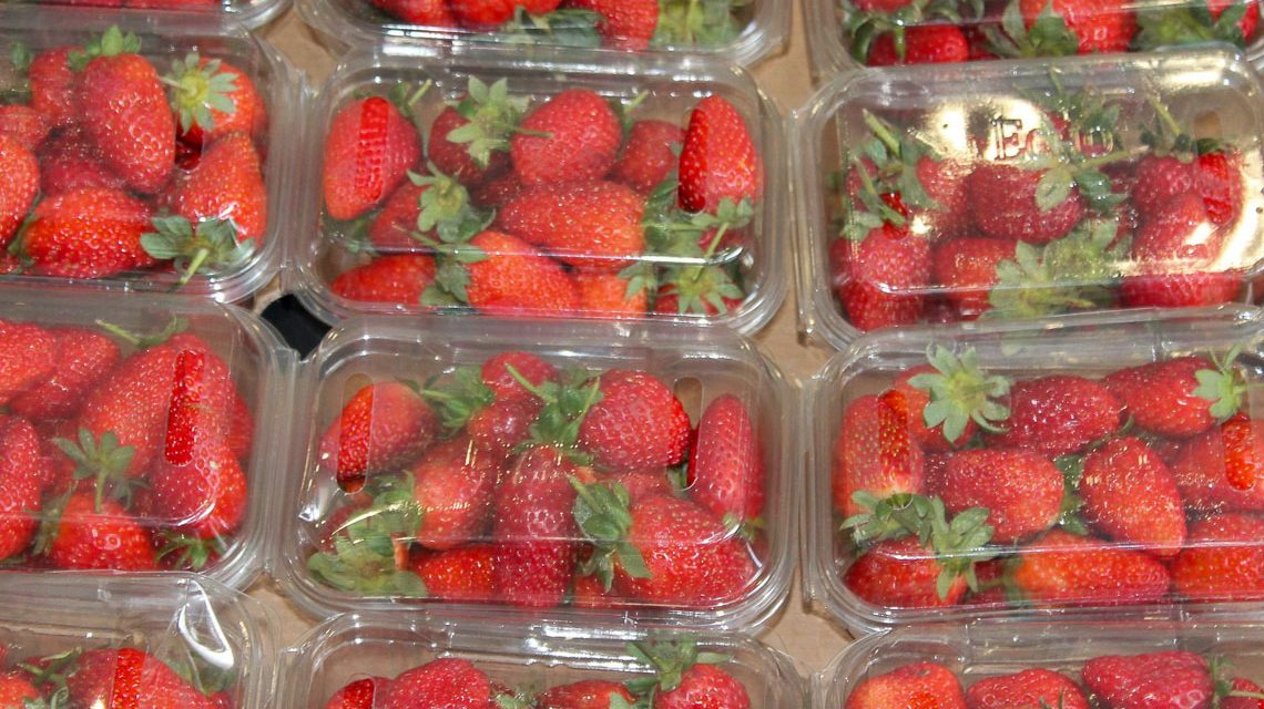 Erdbeeren, gut eingepackt i Plastik.