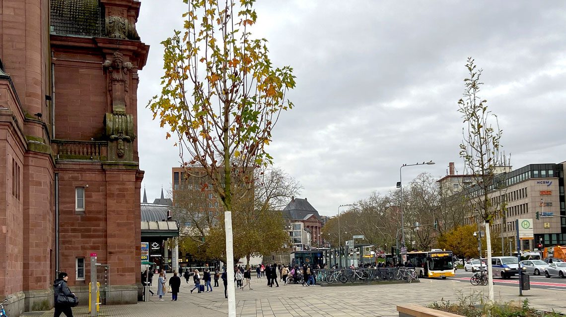 Start des Projekts „Bäume in die Wüste“ auf dem Bahnhofsvorplatz. Junge Bäume frisch gepflanzt.