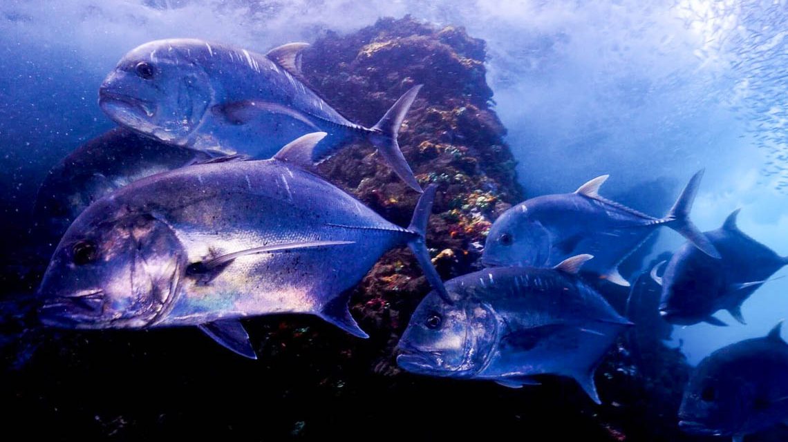 Kinopremiere in Wiesbaden: Dokumentarfilm „DreamScapes“