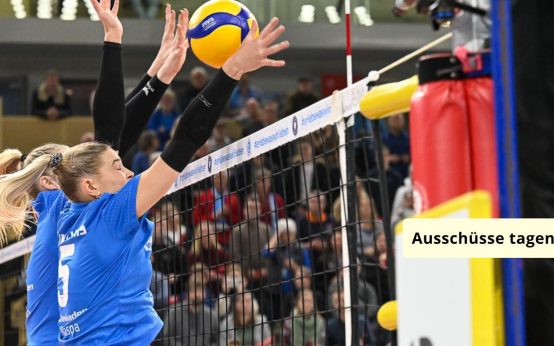 Ausschuss für Sport kommt zusammen. Ein Thema ist der VCW und die Bürgschaft.
