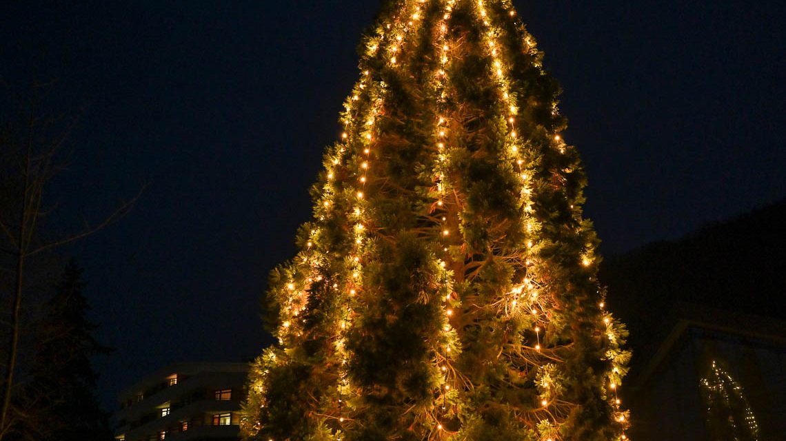 Symbolbild, beleuchtete Tanne, Anleuchten