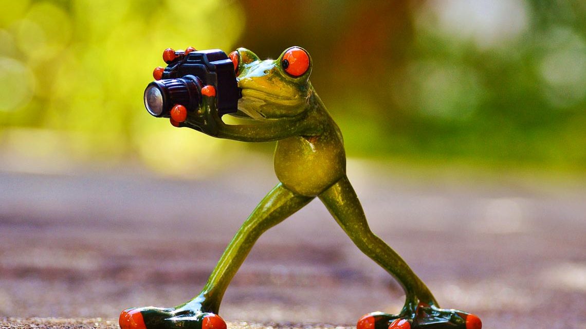 Die Kunst des Fotografieren beginnt bei der Motivauswahl.