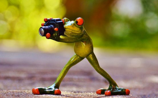 Die Kunst des Fotografieren beginnt bei der Motivauswahl.
