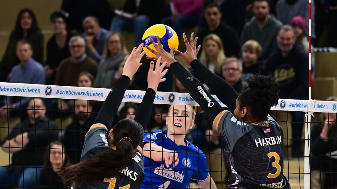 Tanja Großer im Angriff, der Ball gibt im Block hängen, führt aber am ende dennoch zum Punkt für Wiesbaden.