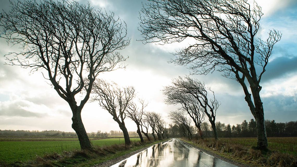 Eine Änderung der Wetterlage ist in Sicht. Uns überquert ein sogenannter Kaltlufttropfen. Es wird wechselhafter. ©2025 Shutterstock