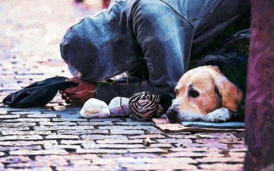 Bettelnder in der Wiesbadener Innenstadt.