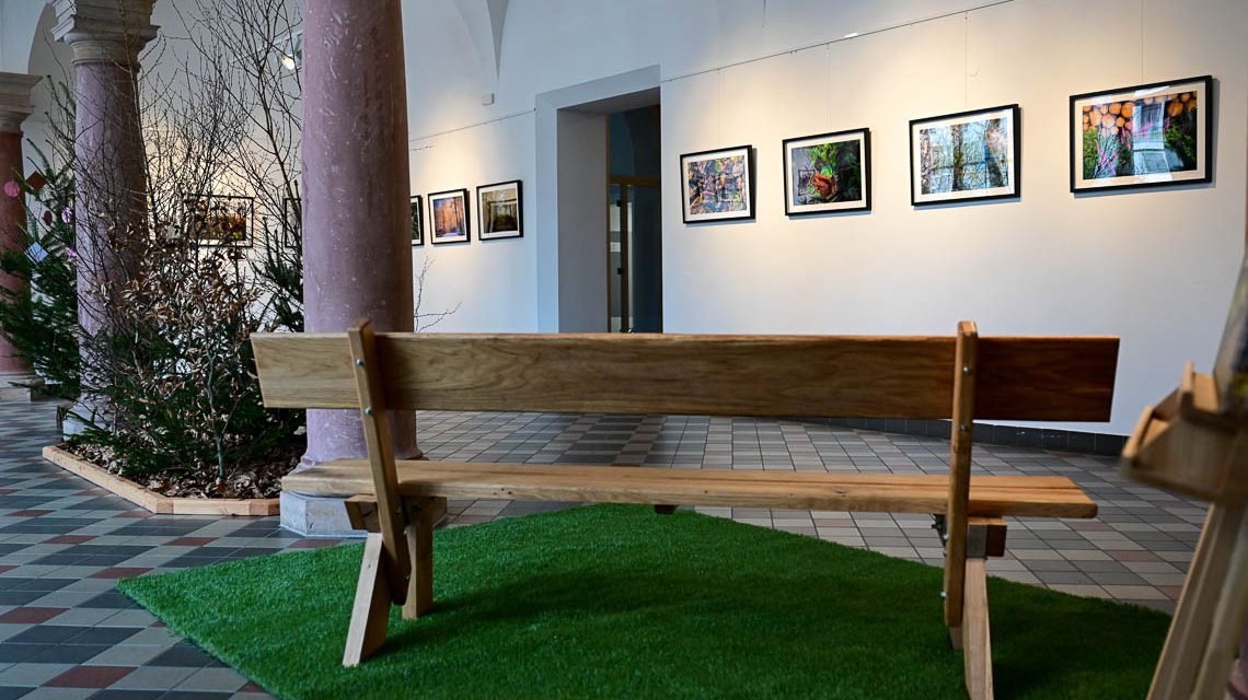 Fotoausstellung, der Wiesbadner Stadtwald.. Im Rathaus, in der Stadtteilbibliothek Klarenthal.