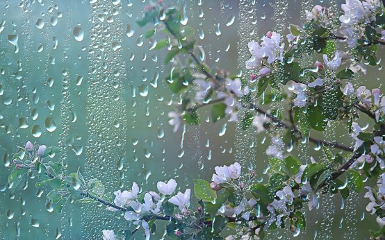 Für das klassische Aprilwetter sind große Temperaturunterschiede verantwortlich. Auch in den kommenden Tagen macht der April seinem Namen alle Ehre: Die Sonne versteckt sich oft hinter Wolken und vor allem nachmittags bilden sich immer wieder Schauer und Gewitter. Quelle: Shutterstock