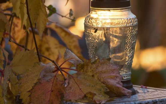 Grablicht auf Friedhof, keine offenen Flammen auf Wiesbadens Friedhöfen. ©2025 Pixbay
