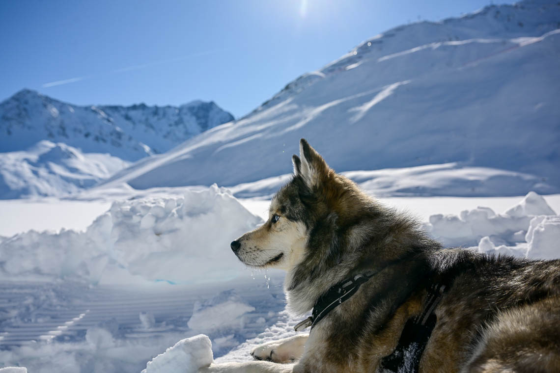 Skifahren-ber-Ostern-da-muss-man-hoch-hinaus-