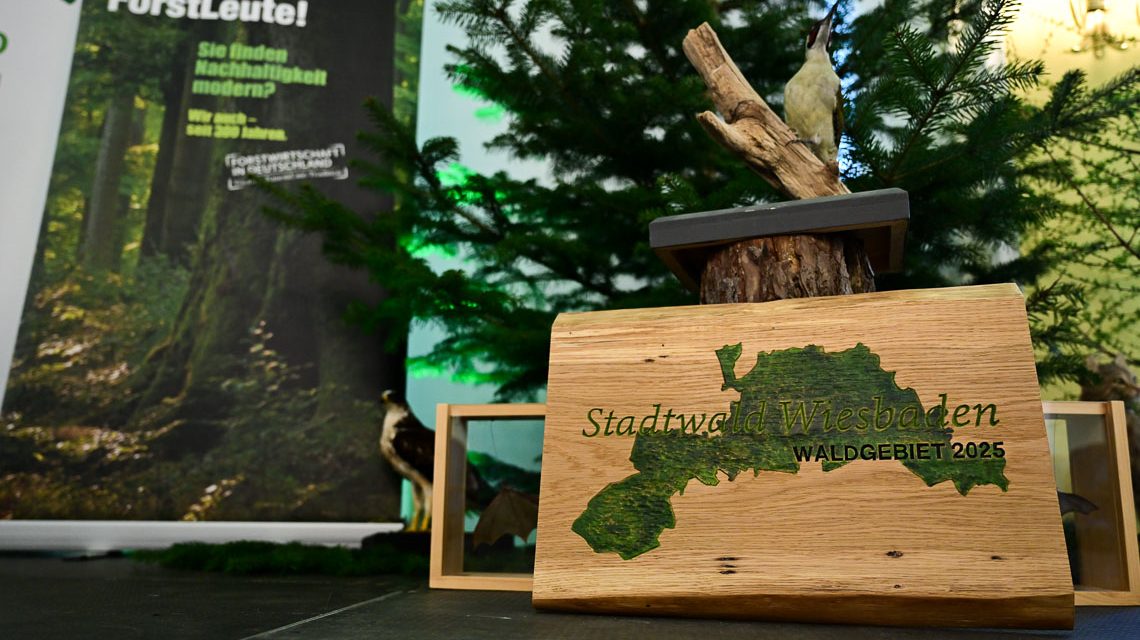Der Stadtwald Wiesbaden ist „Stadtwald des Jahres 2025