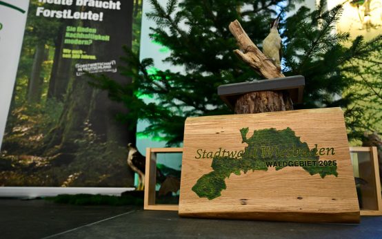 Der Stadtwald Wiesbaden ist „Stadtwald des Jahres 2025