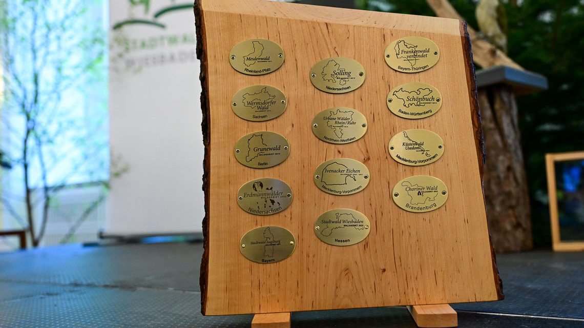 Wiesbadener Stadtwald, Waldgebiet des Jahres. Plaketten auf Wanderpokal.