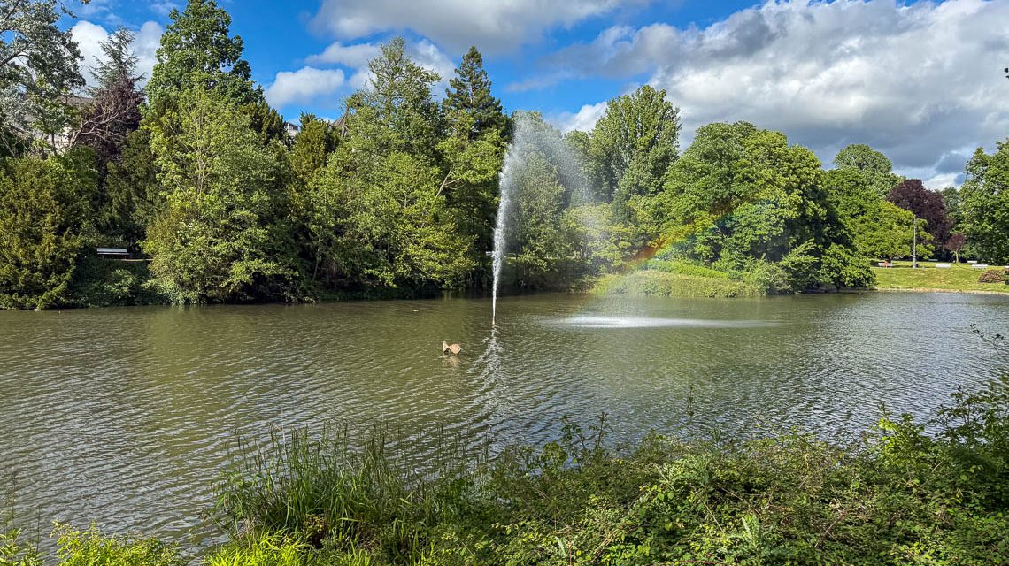 Die Wasserfontäne im Kurpark Wiesbaden sprudelt wieder.