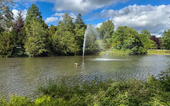 Die Wasserfontäne im Kurpark Wiesbaden sprudelt wieder.