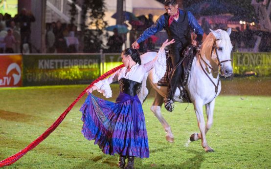 Pferdenacht, spanische Pferde treffen Ballett und Tanz.