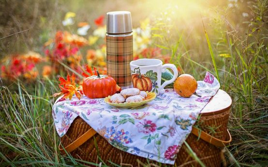 Das längste Picknick der Welt