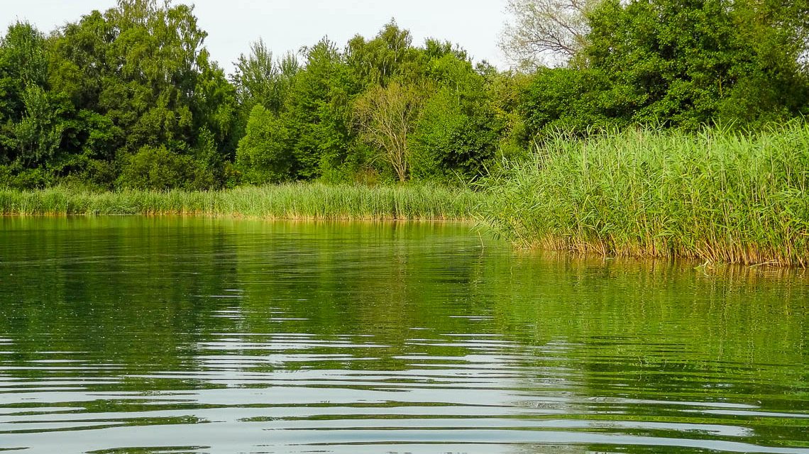 Zwischen Wald, Wasser und Wellen: Badeseen rund um Wiesbaden