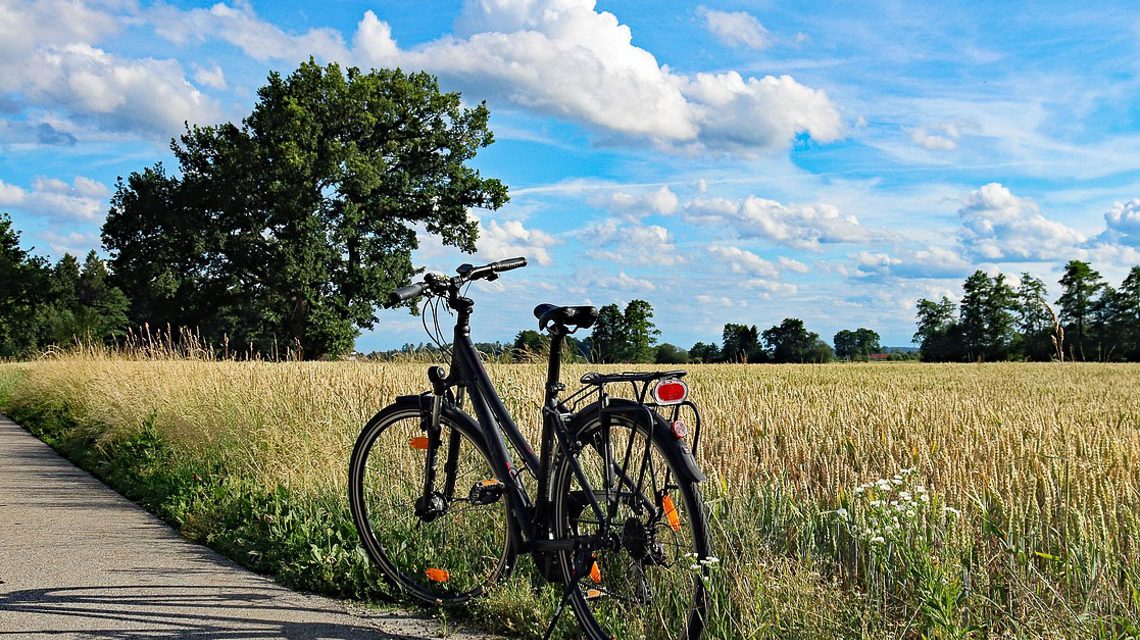 Ein Fahrrad an einem Sommertag am Feldrand stehend!