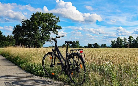 Ein Fahrrad an einem Sommertag am Feldrand stehend!