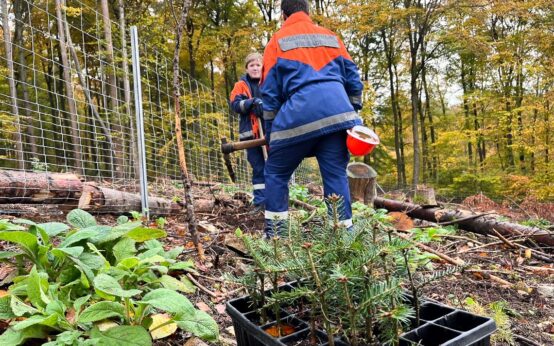 Jugendfeuerwehren pflanzen Zukunft: 4.500 neue Bäume