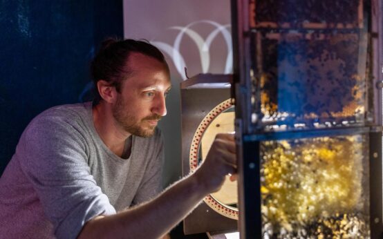 Der Biologe Paul Siefert studiert am Bieneninstitut in Oberursel das Verhalten der Honigbienen. Foto: Jan Bosch