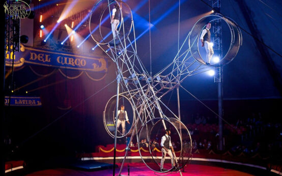 Todesspirale auf dem Wiesbadener Weihnachtscirkus