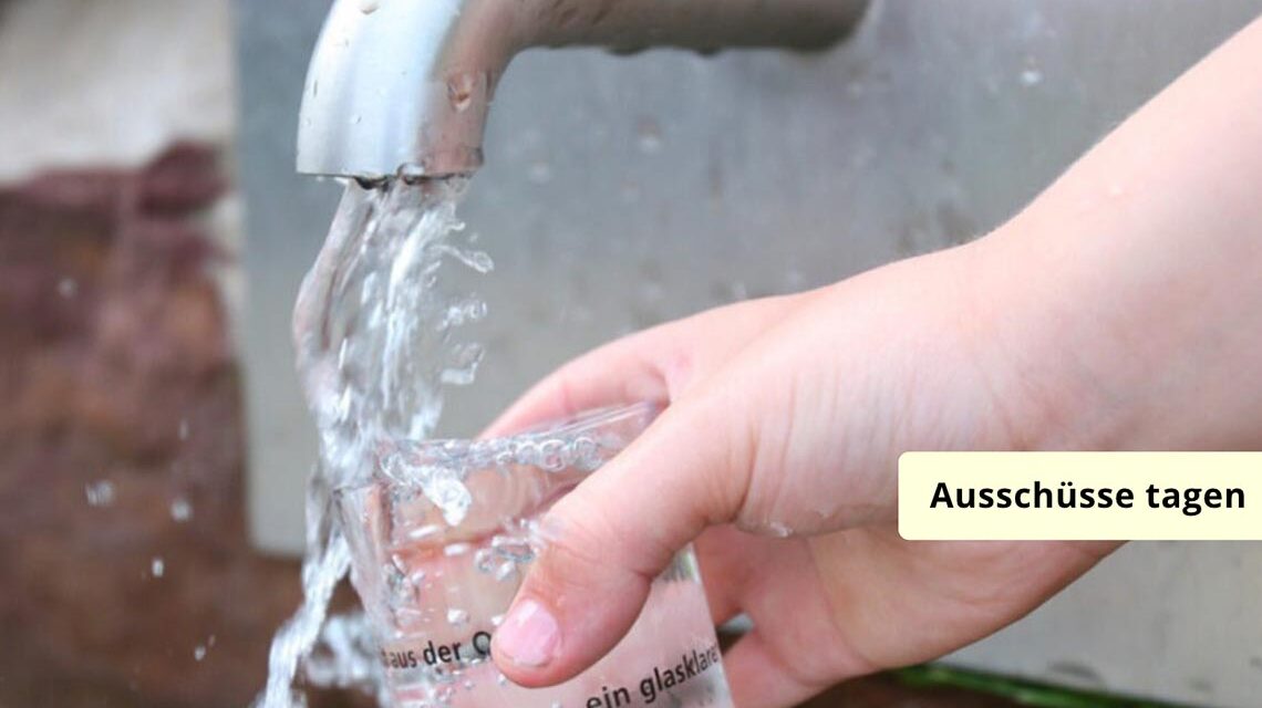 Trinkwasser, Thema in den Ausschüssen