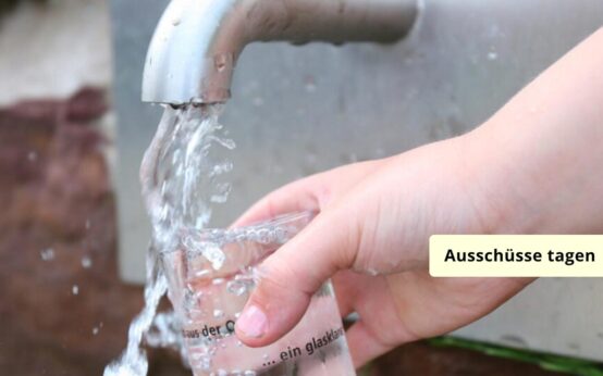Trinkwasser, Thema in den Ausschüssen