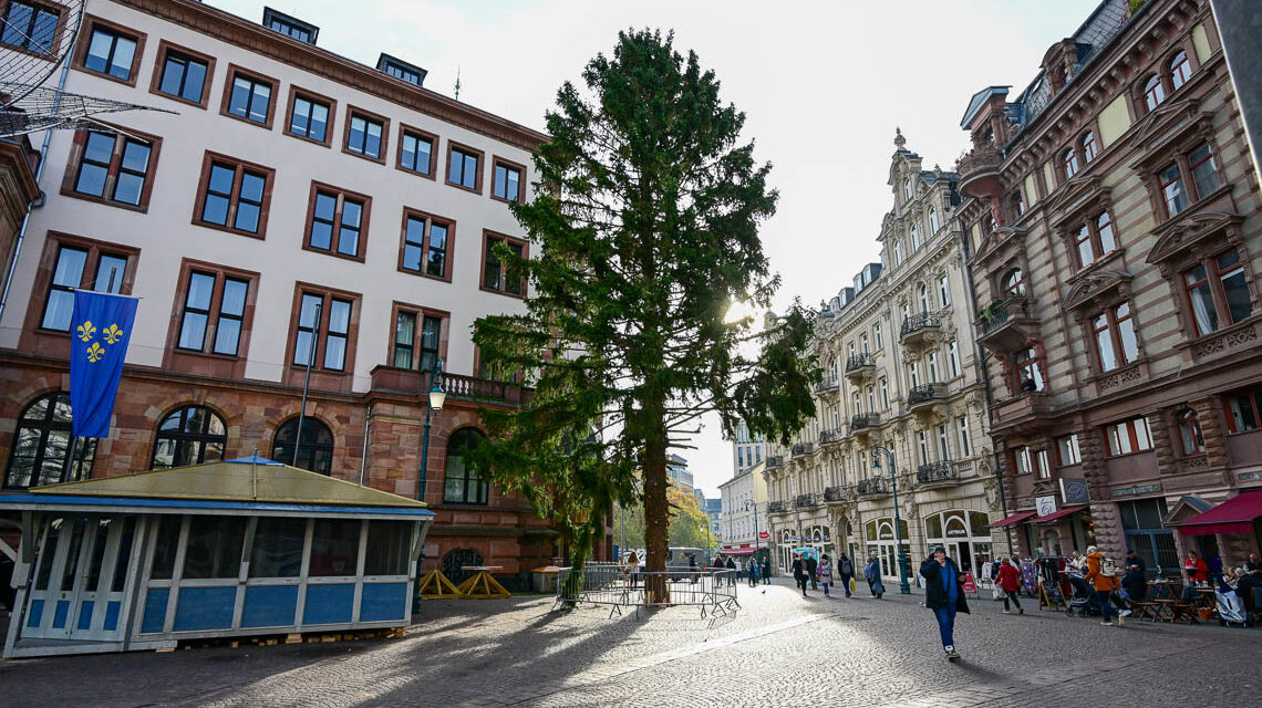 Wiesbadener Weihnachtsbaum 2025