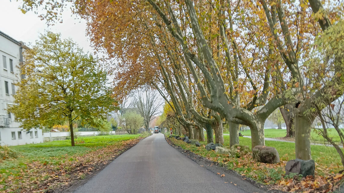 Freie Fahrt am Wasser: Radweg zwischen Schiersteiner Brücke und Uferstraße offen