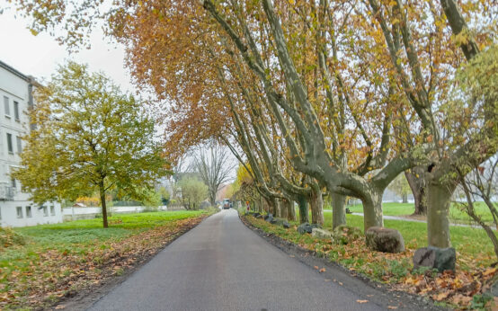 Freie Fahrt am Wasser: Radweg zwischen Schiersteiner Brücke und Uferstraße offen