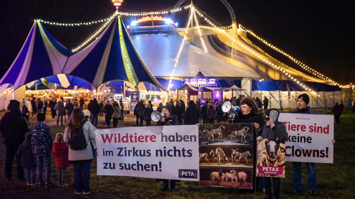 Lichter, Manege, Debatte: Der Wiesbadener Weihnachtscircus steht zwischen Protest und Applaus.