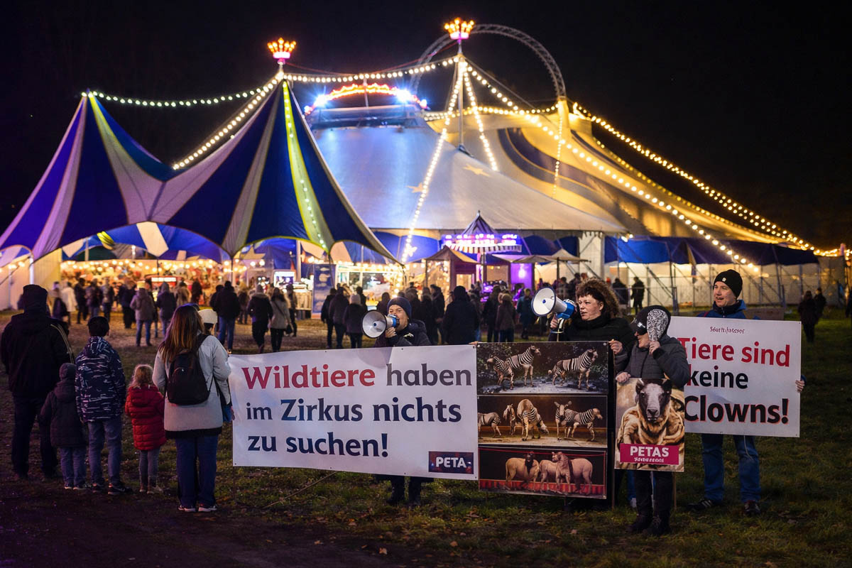 Manege-im-Fokus-Tiersch-tzer-protestieren-gegen-Zirkustiere