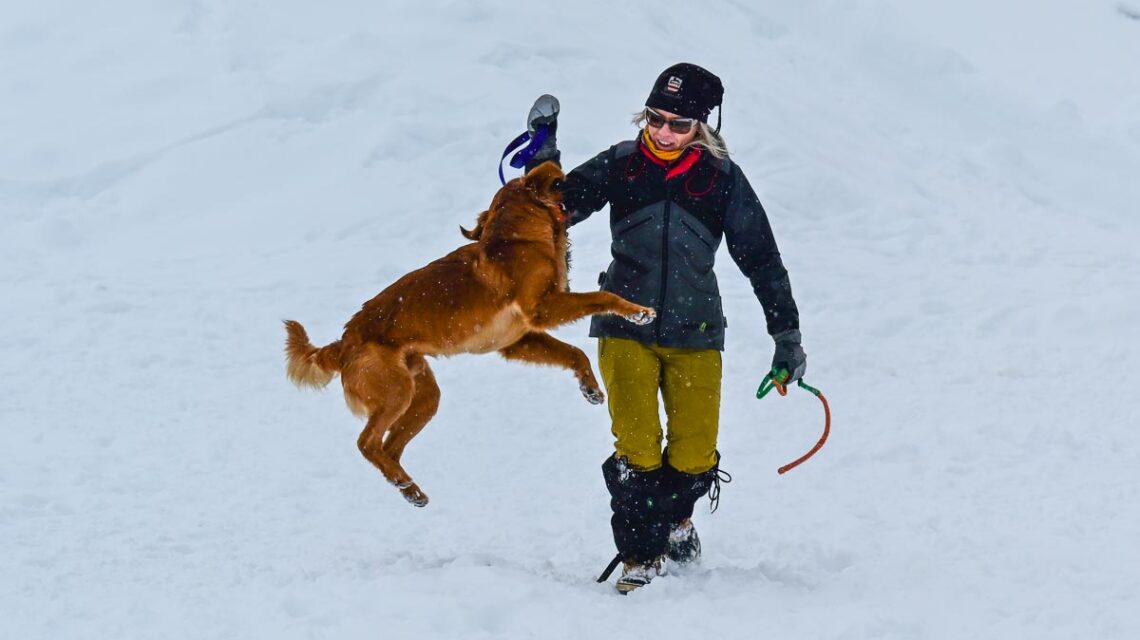 Rettungshundetraining im Pitztal 2026