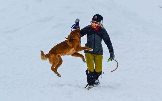 Rettungshundetraining im Pitztal 2026