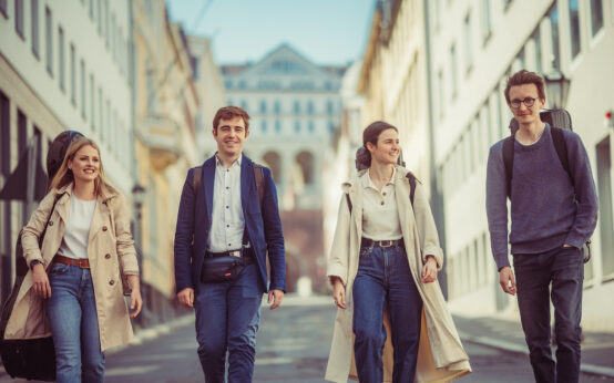 Oxalis Quartet Foto© 2026 Jonas Boy