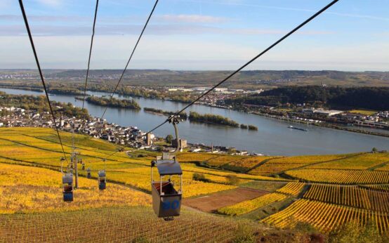 Rüdesheimer Seilbahn, Talfahrt