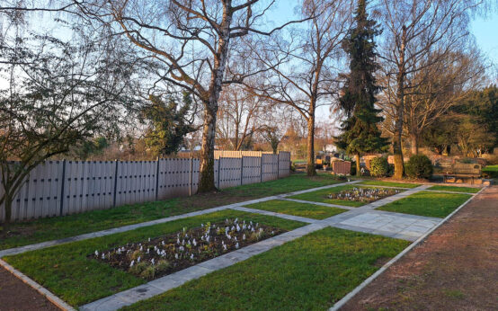 Neue Urnenwahlgräber unter Bäumen verbinden Natur, Erinnerung und pflegefreie Bestattungskultur in Wiesbaden.