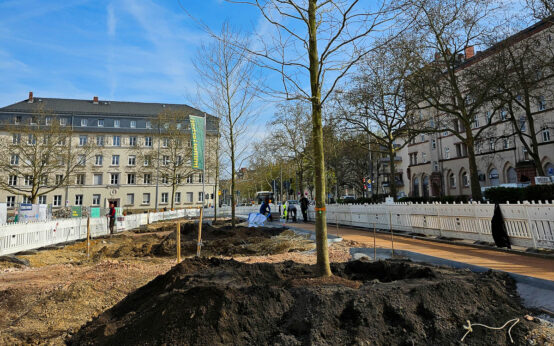 Die ersten Bäume entlang der Klarenthaler Straße stehen auf dem Elsässer Platz.